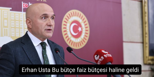 Erhan Usta Bu bütçe faiz bütçesi haline geldi